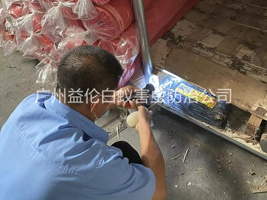 番禺倉(cāng)庫(kù)白蟻防治