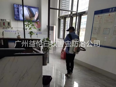 從化室內(nèi)消殺蚊蟲(chóng)工程