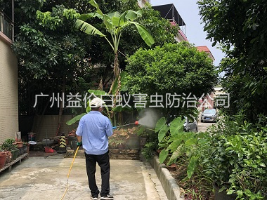 荔灣社區(qū)除四害工程