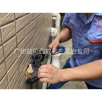 白云區(qū)建筑滅治白蟻工程