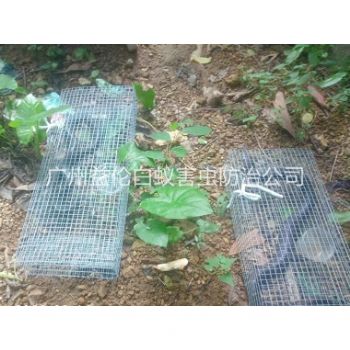 海珠上門驅(qū)蛇防蛇工程